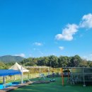 익산애견테마파크 이미지