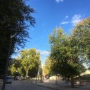 하엔 대학교 총 리뷰! Universidad de Jaen에 관하여! (하엔 대학교 수업, 활동, 일정, 홈페이지 등)