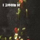 1월 넷째 주 오통이 후기입니다~^^