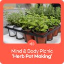 Body picnic 이미지