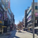 베트남다국적노래클럽 이미지