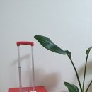 이니스프리롯데마트서울역