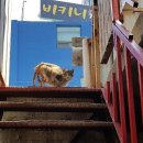 새동진약국 이미지