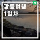 세븐일레븐 강릉용지점 | 혼자 강릉여행 뚜벅이 1박 2일 기록 강릉 여행지 추천