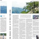 소나무세상 이미지
