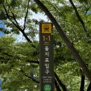 목련관 | 일상적으로 살던 애스트라 둘이 만나서 특별한 시간을 만들어가고 있잖아