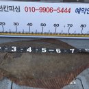 인천칸피싱 이미지