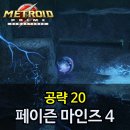 페이즌 이미지