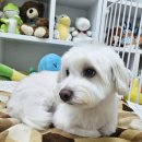 멈무는하루 이미지