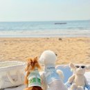 방아머리 이미지