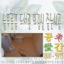 늘푸른꿈 이미지