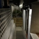 5374 | 데이트하기 좋은 아늑한 분위기의 망원동 칵테일 바 알코브 방문 후기