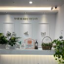 감정코칭심리상담사 | 강서구심리상담 더나은심리상담코칭센터 TCI ·대인관계 검사로 알아본 나