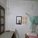 대성관광 옆 (관리번호 7번) | [네팔] 3. 11시간 버스 탑승기(룸비니에서 포카라로)