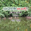 2024년 신천 새 시진 달력 이미지