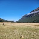 대양카 | 뉴질랜드 남섬 여행 후기(3)_퀸스타운_밀포드사운드(Milford sound) 크루즈 투어 후기(RealNZ 현지 투어사)