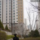 부엉뜰근린공원 이미지