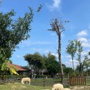 배울목장 이미지