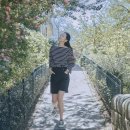 만나투어 이미지