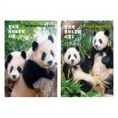 월드하우스 | 겨울 에버랜드 주토피아 - 사파리, 판다월드, 판다세컨하우스, 새해 방문 후기