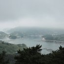 늘푸른찬 이미지