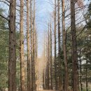 몽귤몽귤농원 이미지