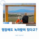 송석정 | 영암에도 녹차밭이 있다고? 한국제다 영암제2다원, 덕진차밭