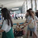 마이펫아카데미 이미지