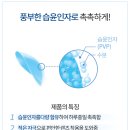 더으뜸 이미지