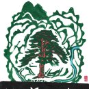 여송지성 이미지