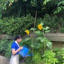 포항중앙여자고등학교 이미지