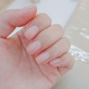 위드에이치2 이미지