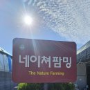 다육식물체험장 네이버블로그
