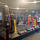 김영철 복싱클럽 이미지