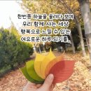 부경볼링회 10월30일 목요일~♡ 이미지