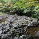 한라산둘레길 사려니숲길 이미지