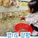 만골목장 이미지