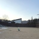 바우하우스105
