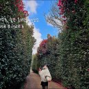 호근남로 이미지