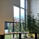 온 더 힐 이미지