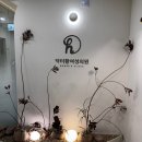 40대 노산 임신준비 중 자궁경수술 후기｜대전 닥터황산부인과 리얼후기 (+비용·통증·출혈)