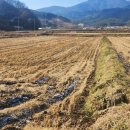 부동산플러스플러스공인중개사사무소 | &#39;6900만원에 920평 농지를&#39; 충남 청양군 플러스부동산에서 스마트팜 주인공이 되어 보세요~~