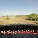 풀하우스민박 이미지