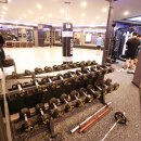 부산챔프복싱 이미지