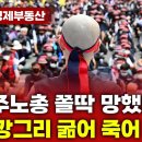 민주노총 쫄딱 망했다! 노조 깡그리 굶어 죽어 보자! 이미지