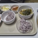 육일철물점 | 양방향내시경감압술과 반월성연골제거수술/수술19일째