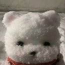 링크투어