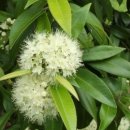 미 사랑피부관리 이미지