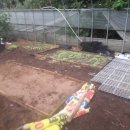 정일품농장 이미지