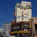 모자티헤어증모
